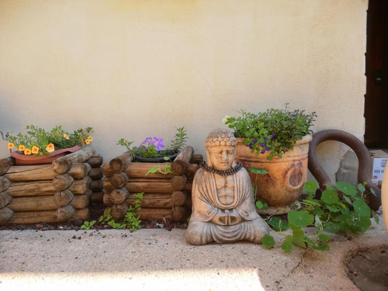 Red Sea Garden Apartment Eilat Exterior photo